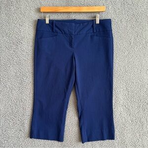 The Limited Capris / Long Shorts Pants Blue Size 8